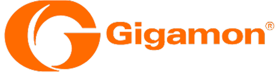 Gigamon